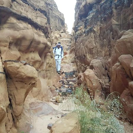 Bedouin Stylelife Camp Hotel วาดิรัม ภายนอก รูปภาพ