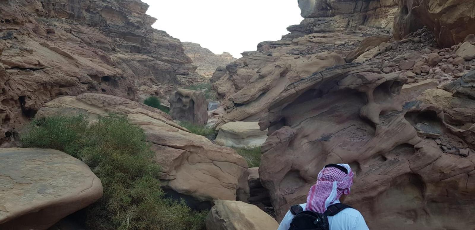 Bedouin Stylelife Camp Hotel วาดิรัม ภายนอก รูปภาพ