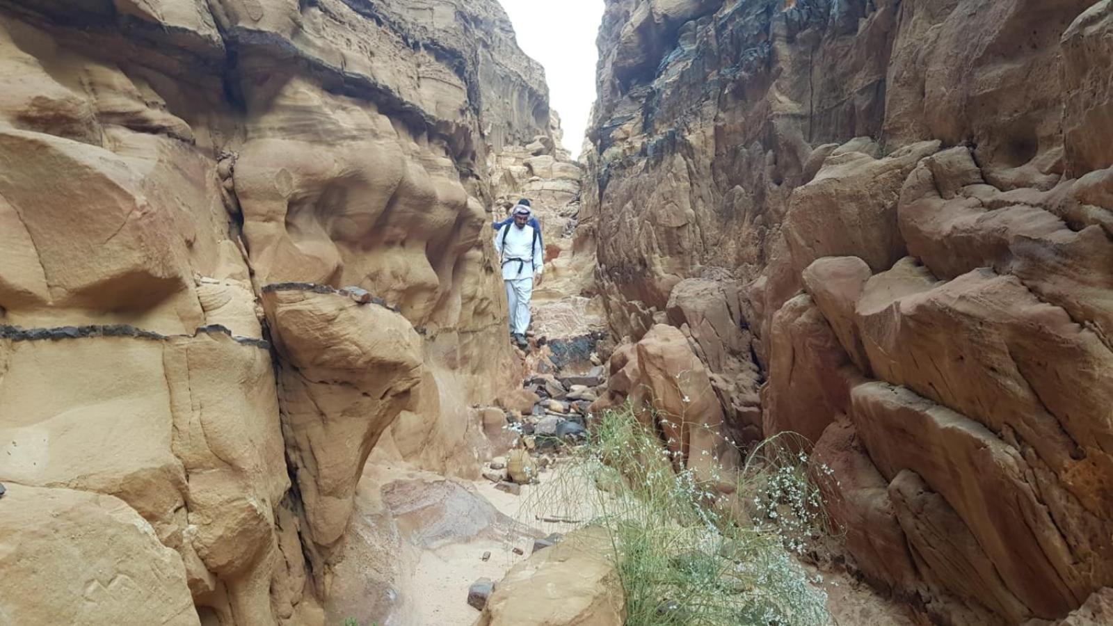 Bedouin Stylelife Camp Hotel วาดิรัม ภายนอก รูปภาพ