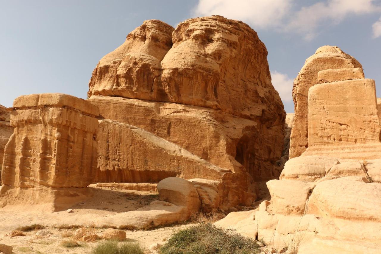 Bedouin Stylelife Camp Hotel วาดิรัม ภายนอก รูปภาพ